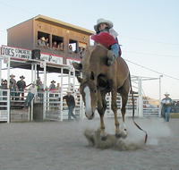 Bronc riding at the Lil' Buckaroo Rodeo