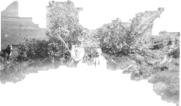 BO003005.jpg