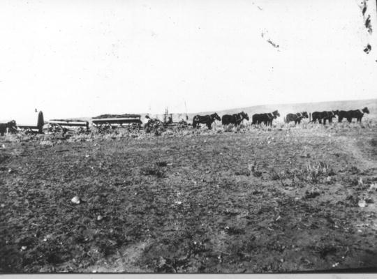 mm009003.jpg