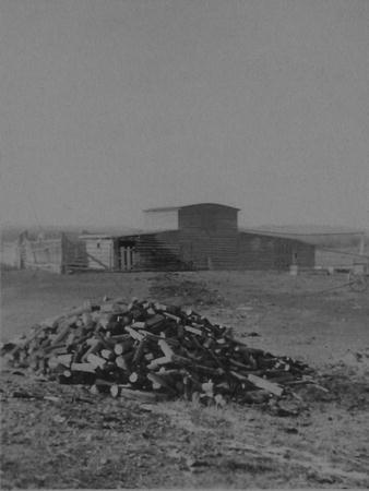 dt001053.jpg