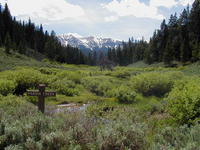 Hardin Creek up North Cottonwood