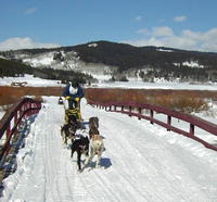 Crossing Green River during the Green River Rondy Sled Dog Race